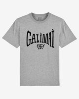 (LAST ONES!) GALIMAI - Grey Tshirt